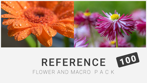Reference: Flower and Macro Pack 100