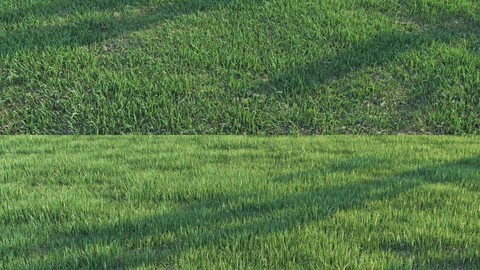 30 Min SpeedTree Tutorial(grass)