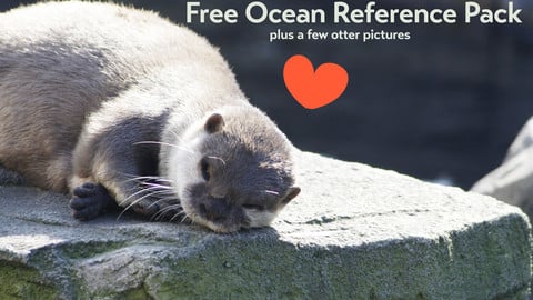 Free Ocean Reference Pack