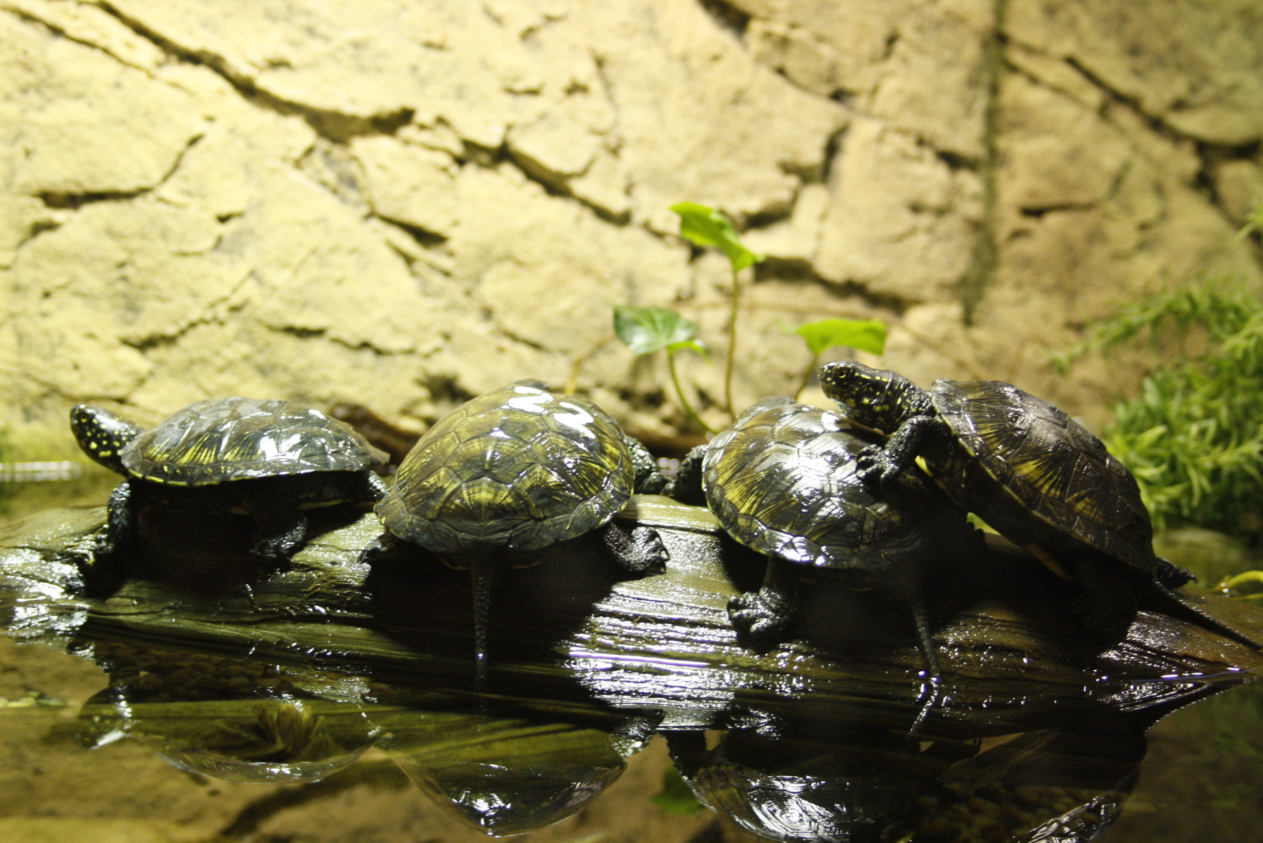 ArtStation - Free Ocean Reference Pack | Resources