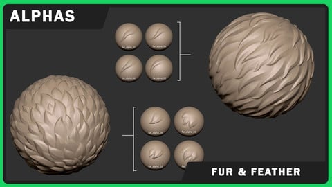 Stylized Fur And Feather Alphas
