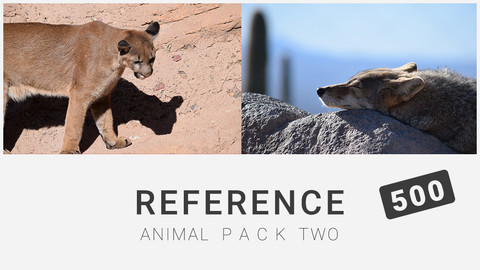 Reference: Animal Pack Two 500