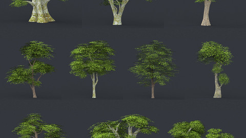 Low Poly 10 Tree Collection