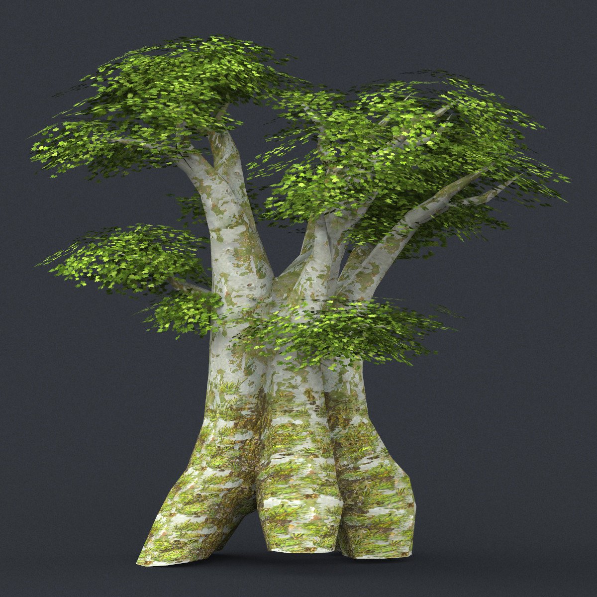 Tree 3d model. 3d models Tree midpoly. Дерево 3д модель Low Poly. 3d деревья Low Poly. SPEEDTREE Low Poly collection.