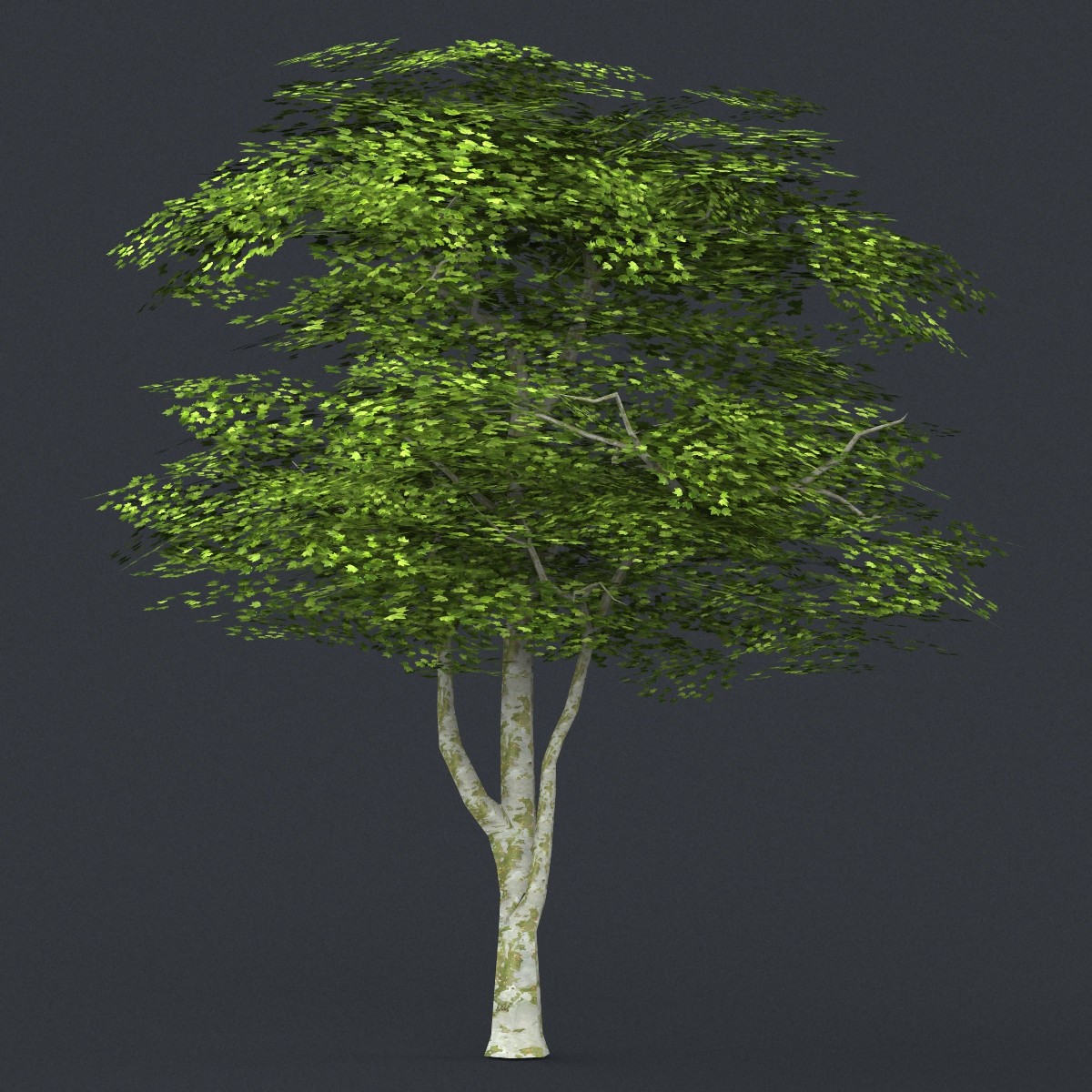 Tree 3. Лоу Поли дерево 3ds Max. Баньян 3d Max. 3ds Max 2d деревья. 3d деревья Low Poly.