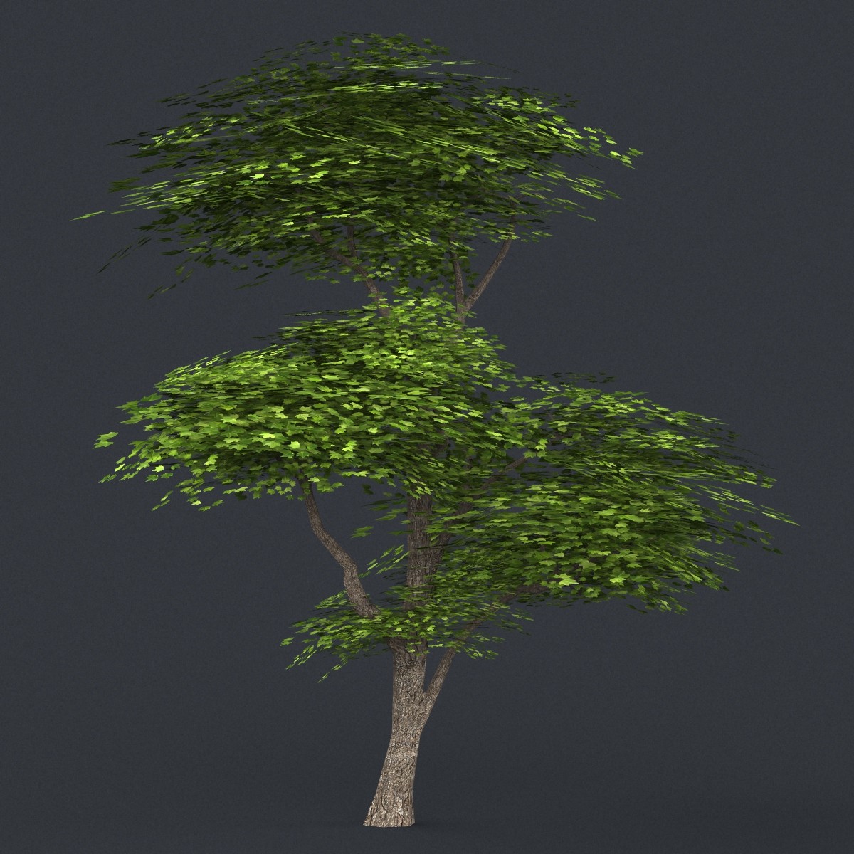 ArtStation - Low Poly 10 Tree Collection | Resources