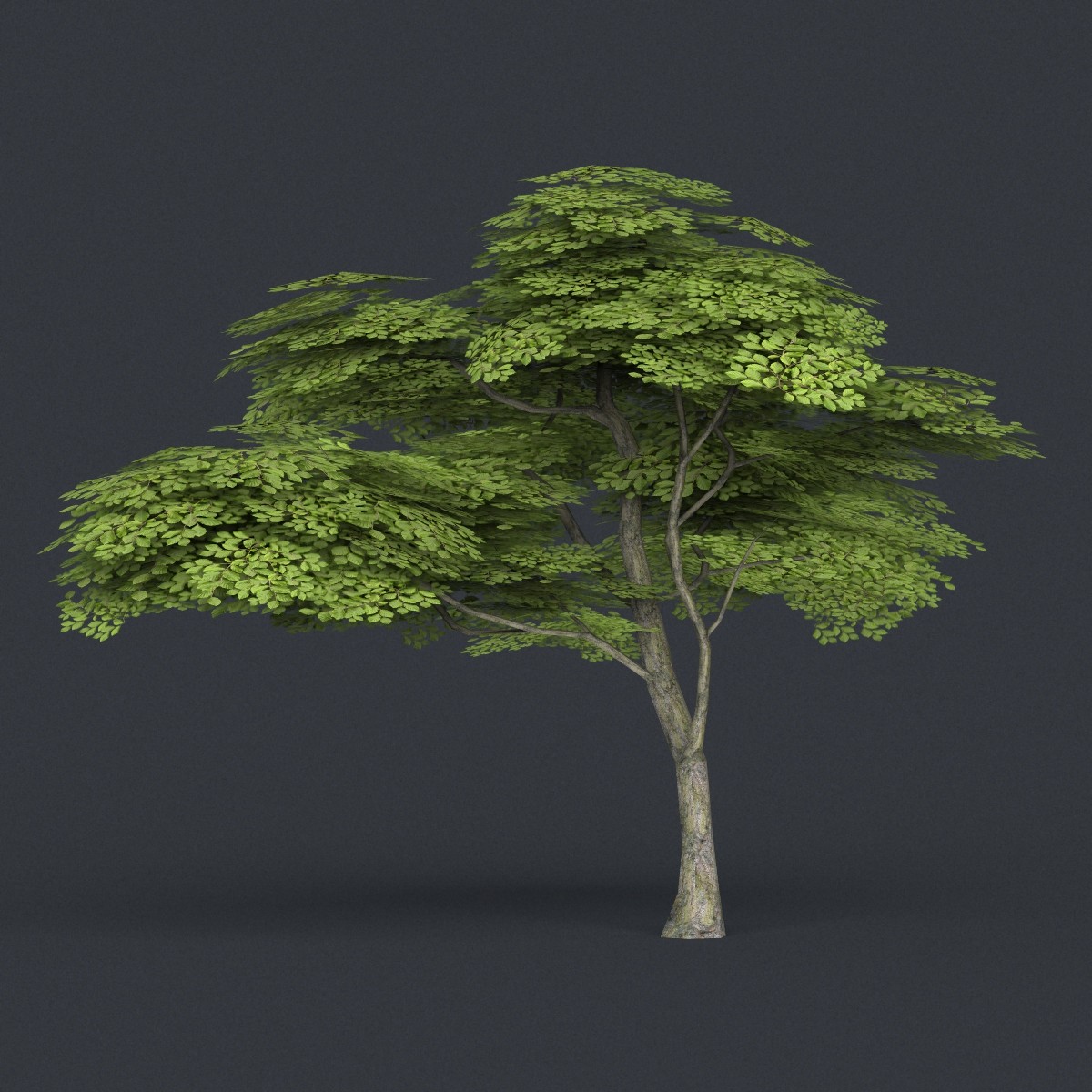 Asset 3d model