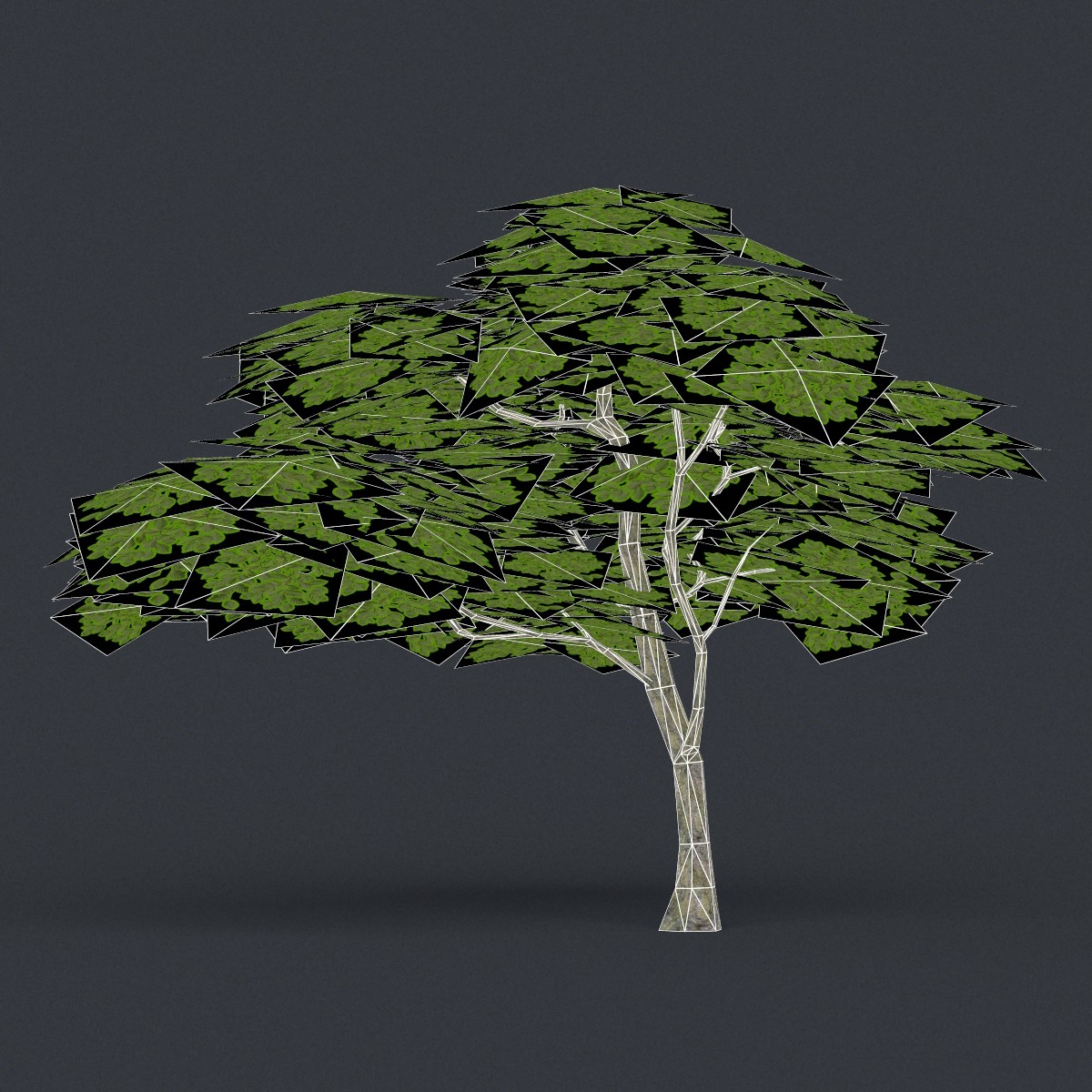 10 tree. Дерево 3d модель. Дерево Low Poly. Mid Poly дерево. Low Poly Tree 3d model.