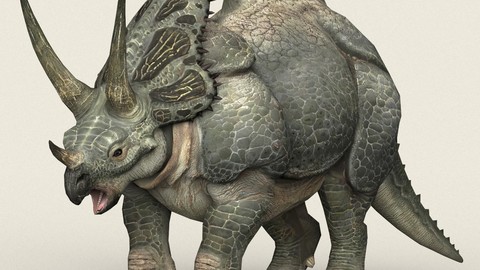 Triceratops Dinosaur