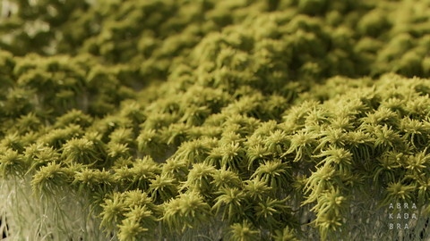 Houdini L-System Moss setup