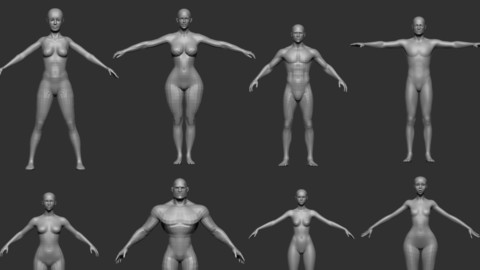 basemesh body collection v1