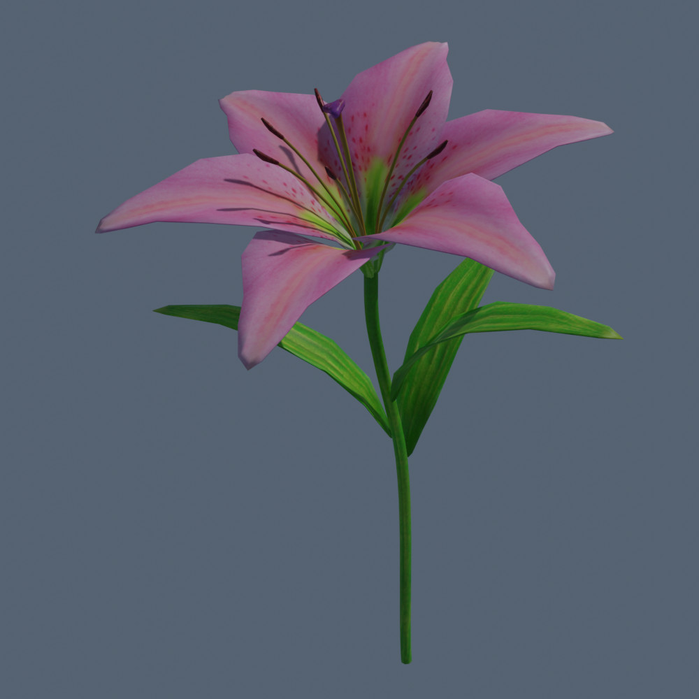 ArtStation - Lily flowers rigged animated | Game Assets