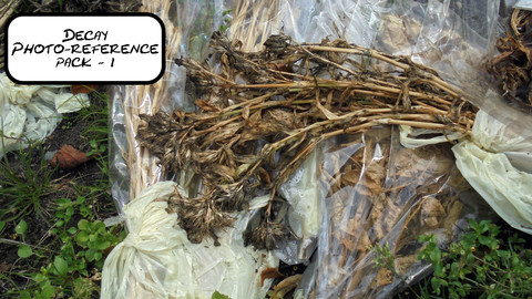 Decay - Photo Reference - pack 1