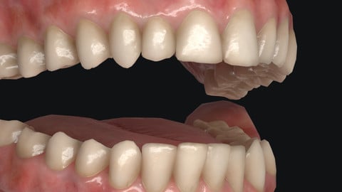 Teeth Asset (Real-Time)