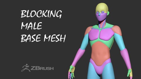 Blocking  Male Base Mesh