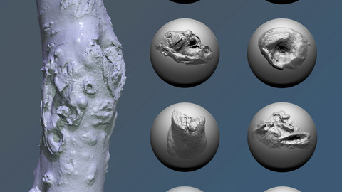 Zbrush - Trunk Detail Brushes vol. 1