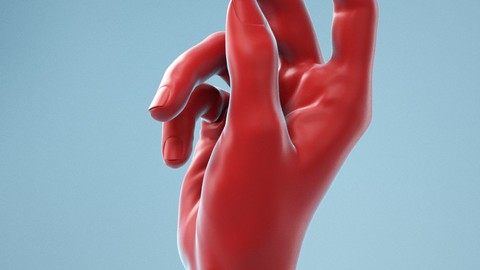 Relaxed Grip Realistic Hand