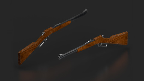 Lever Action Gun