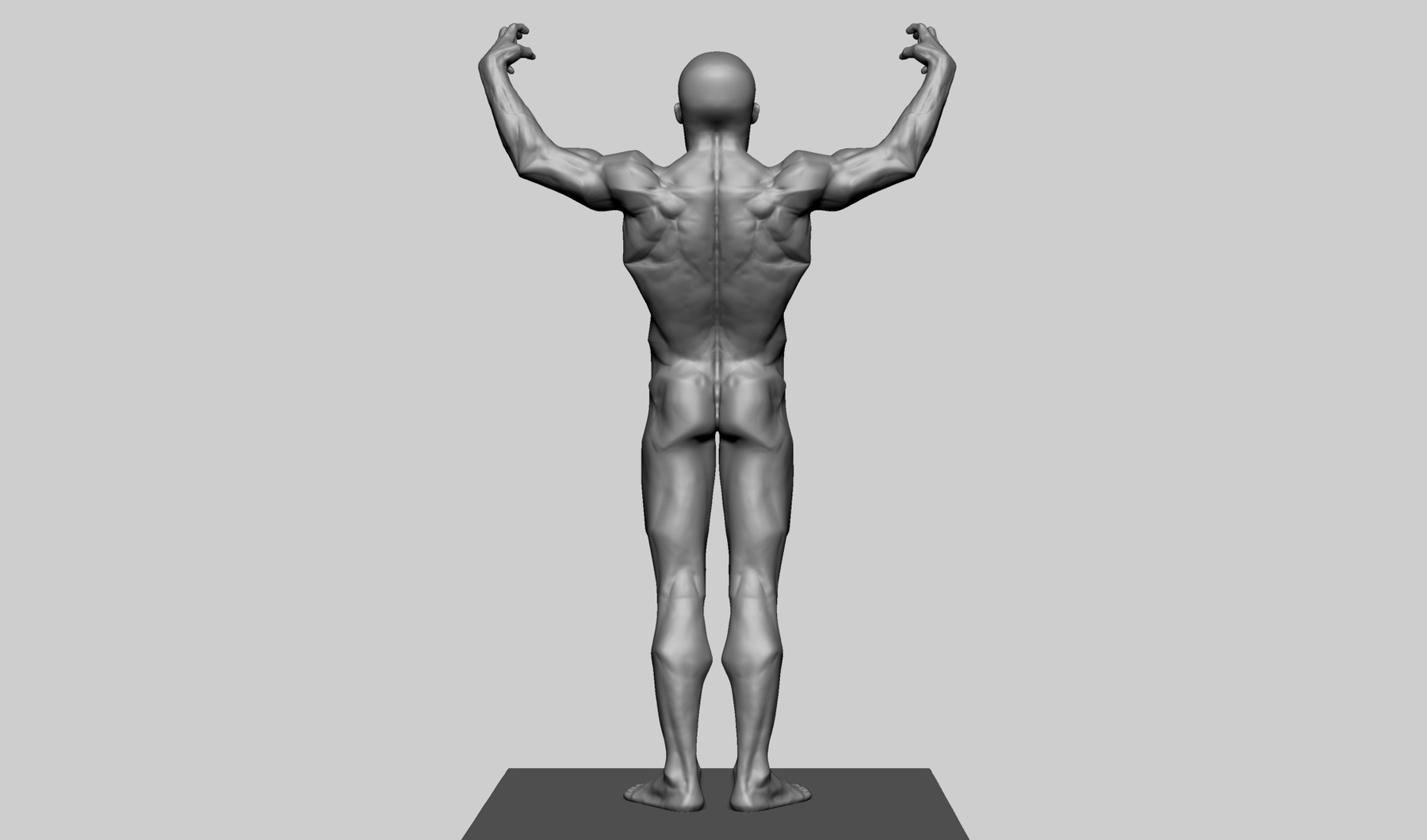 ArtStation Male Anatomy Study Resources
