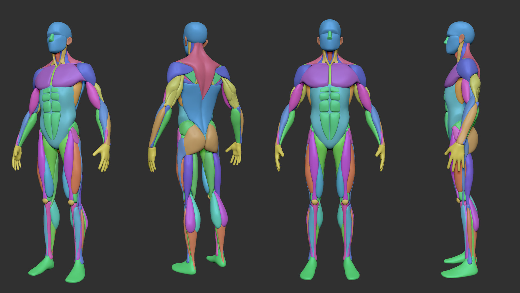 ArtStation - Simplified Anatomy Basemesh - 3-Pack | Resources