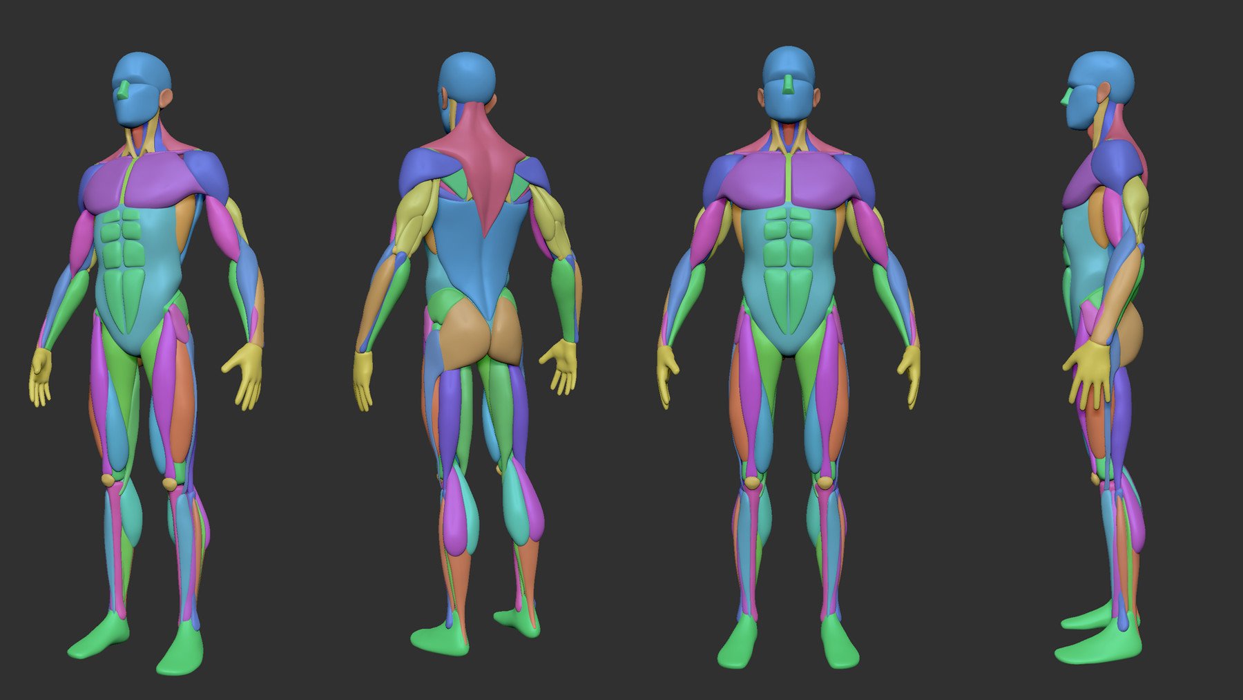 ArtStation - Simplified Anatomy Basemesh - 3-Pack | Artworks