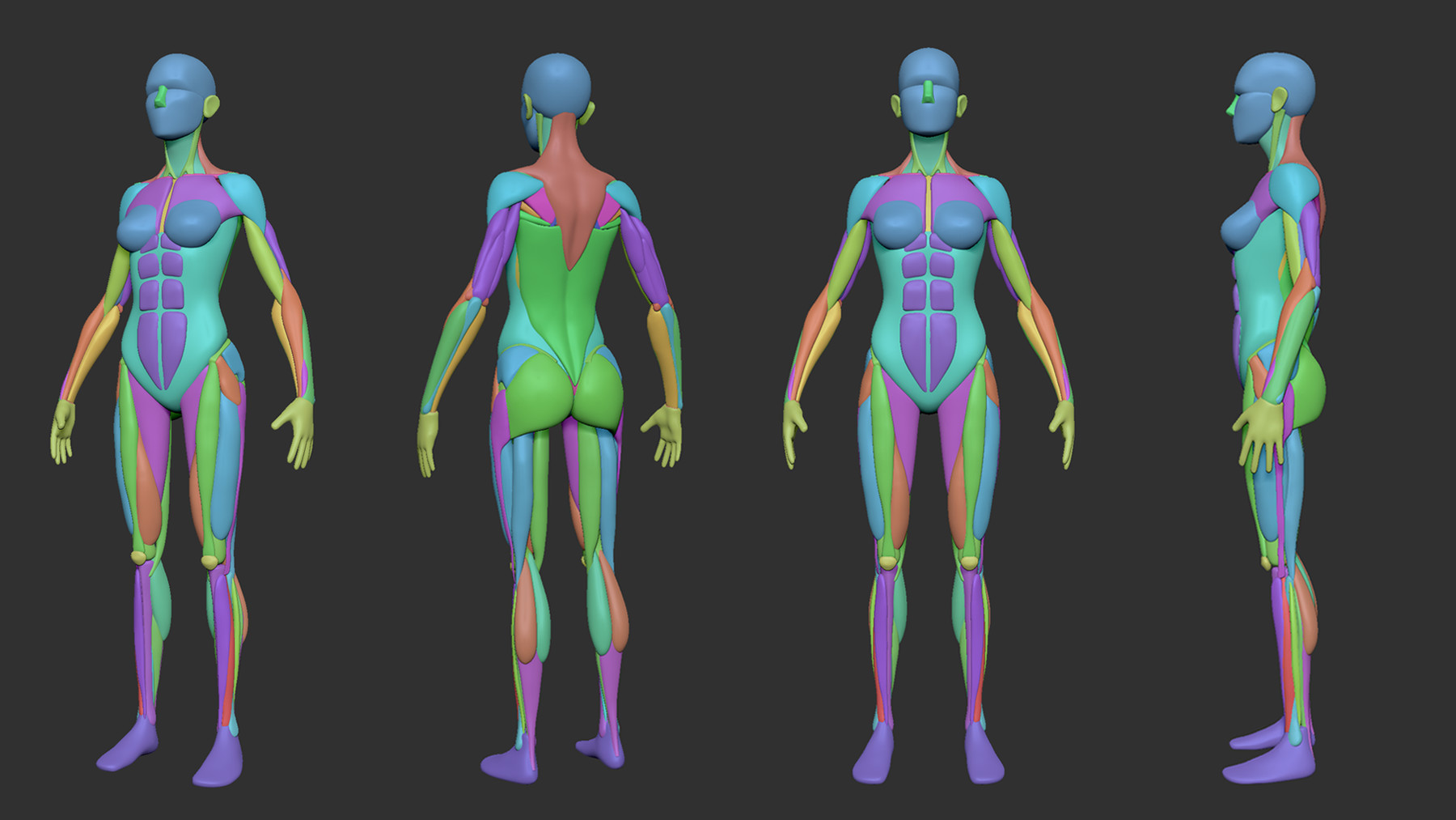 ArtStation - Simplified Anatomy Basemesh - 3-Pack | Artworks