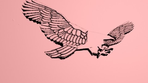 The Bird
