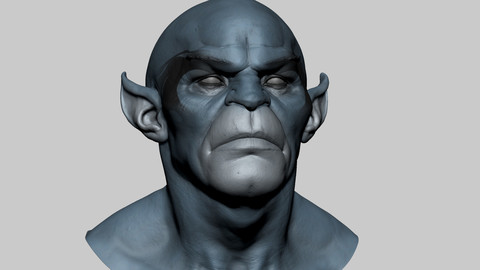 Panthro Head
