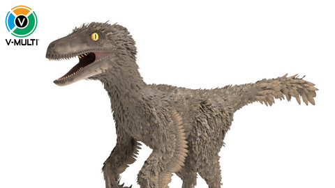 Velociraptor Feathered