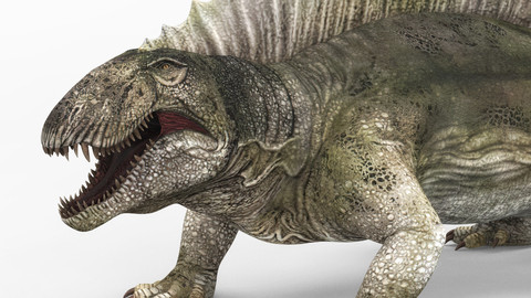 Dimetrodon Dinosaur