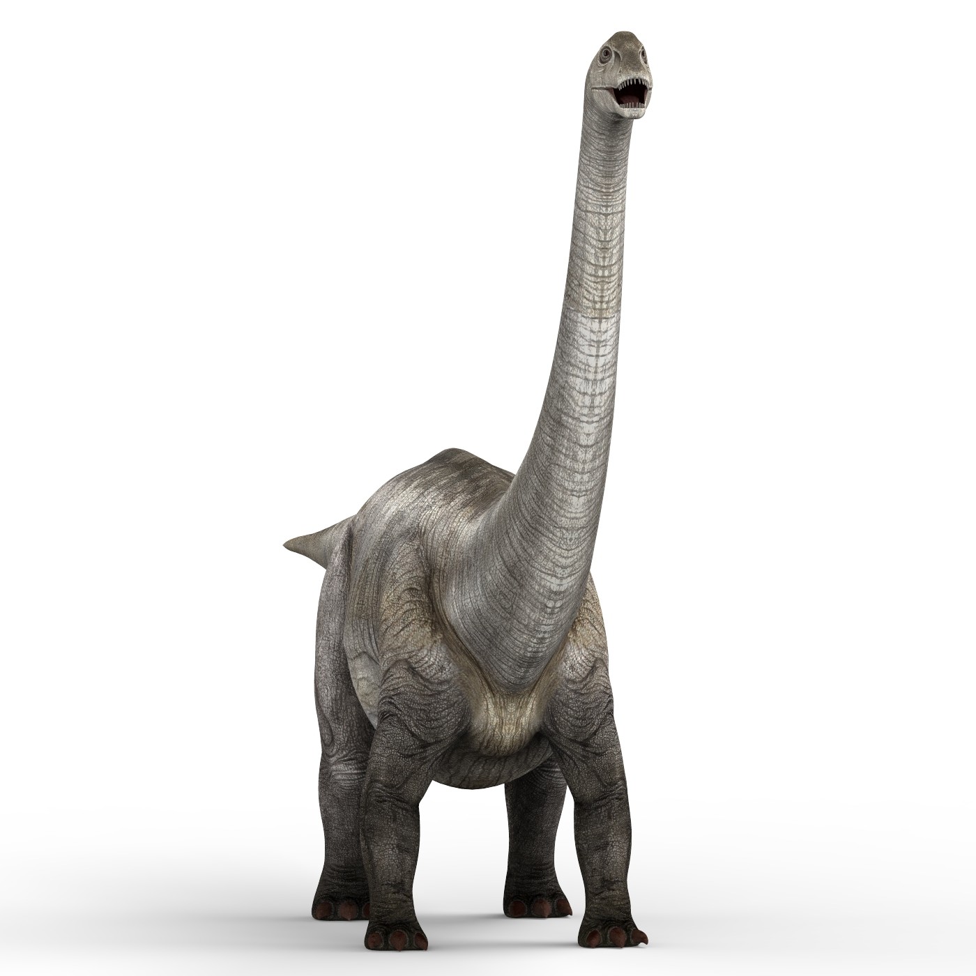 long neck dinosaur diplodocus