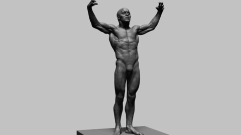 Human Anatomy v2