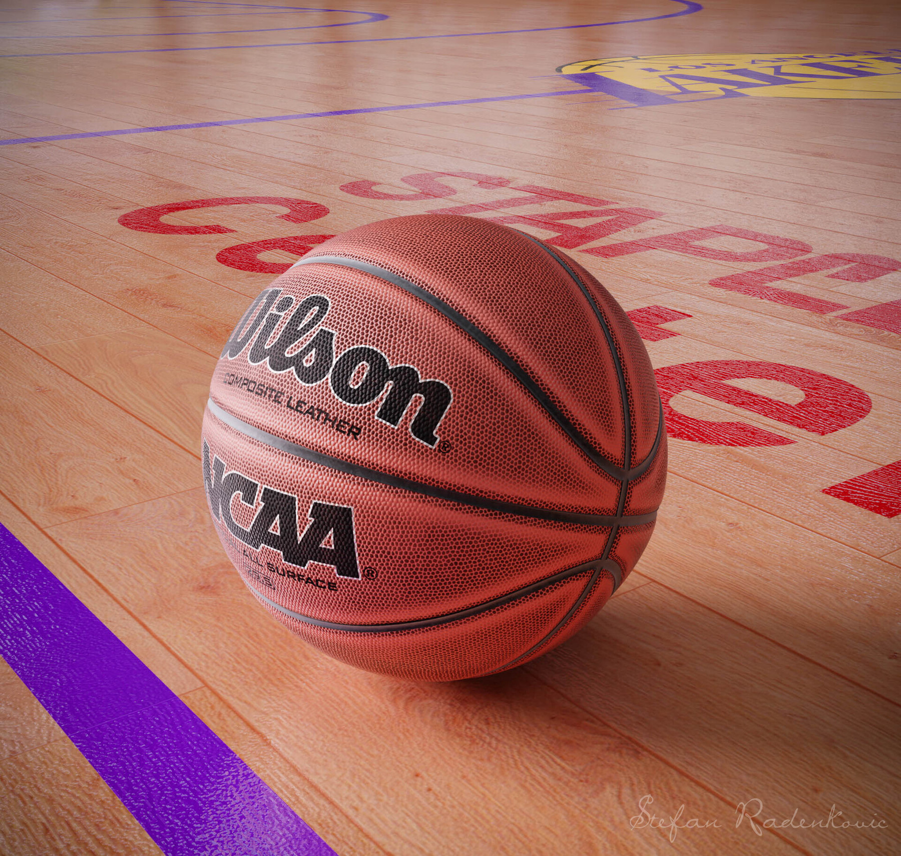 wilson basketball