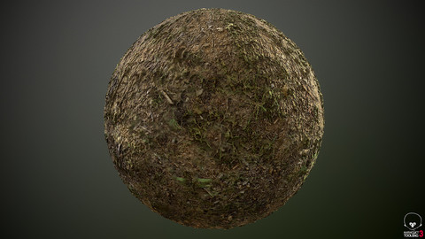 Grass Type 01 PBR Material 2K