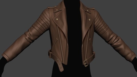 stylized  Jaket