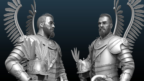 Light Cavalry Winged Hussar -  Armor Brushes