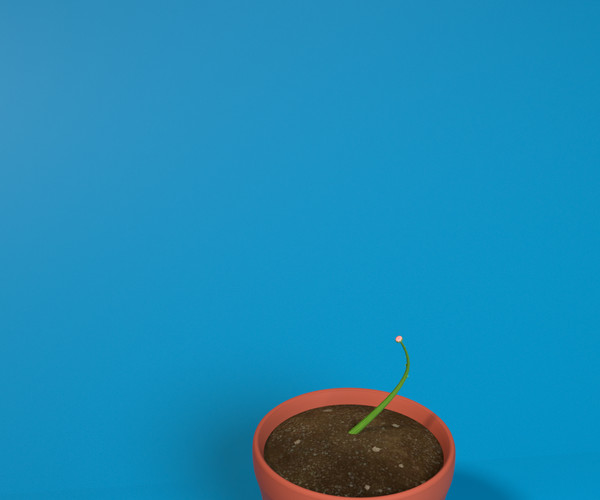 ArtStation Daisy Flower Animated Game Assets