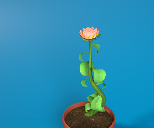 ArtStation Daisy Flower Animated Game Assets