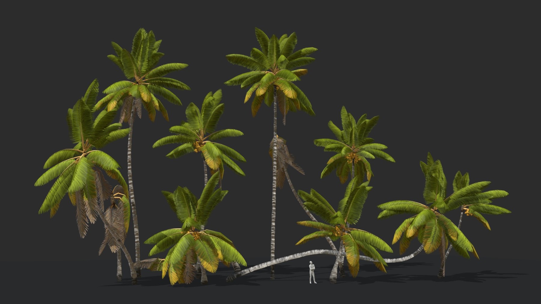 ArtStation Coconut Palm Trees Asset 1 Game Assets