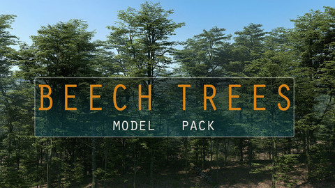 Beech Tree Model Pack