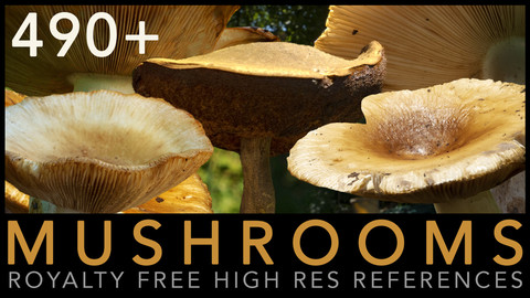 Mushrooms Pack