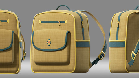 school bag