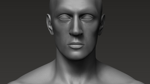 Anatomically correct muscular male body Low and High Poly Low-poly 3D model