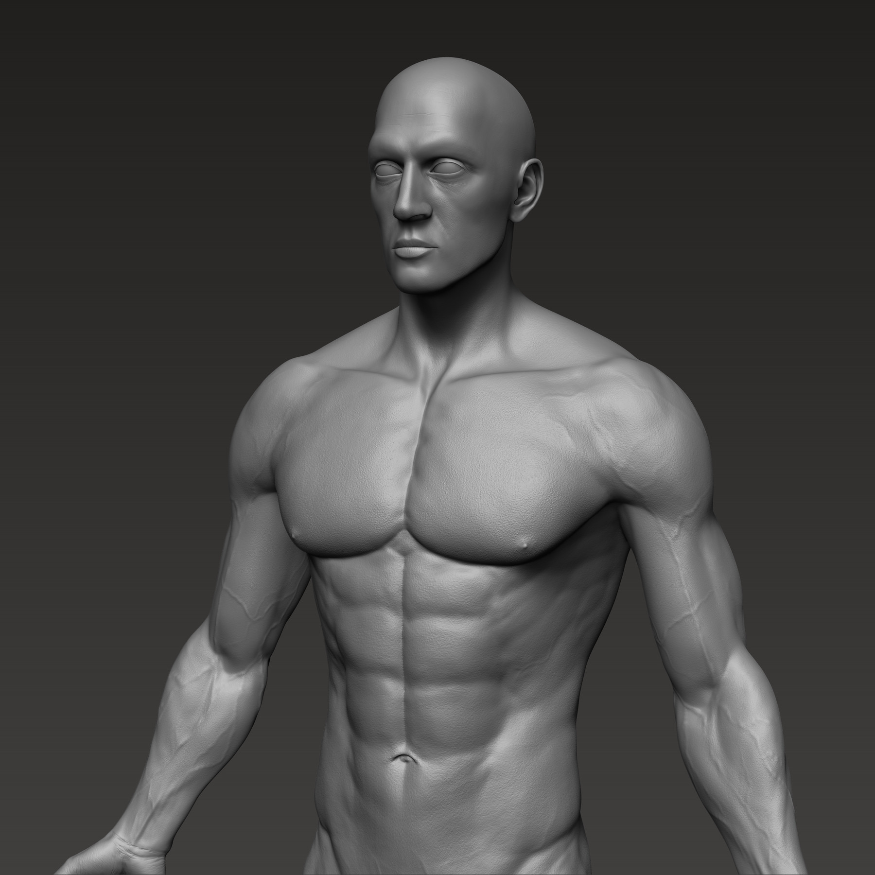 ArtStation - Anatomically correct muscular male body Low and High Poly