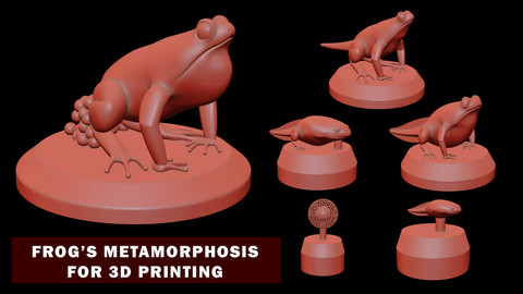 Frog's Metamorphosis For 3D Printing