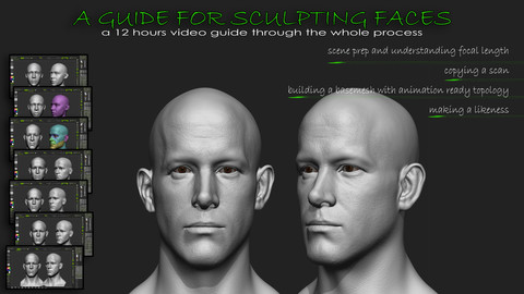 A guide for sculpting faces