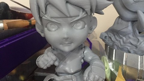 Ryu_pocket 3d print