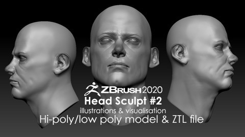 Head Sculpt #2 - Anatomy Study
