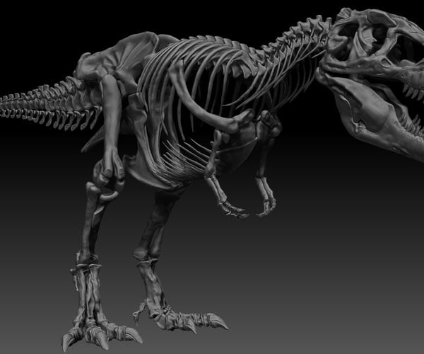 ArtStation - Sub Tyrannosaurus Rex Full Skeletons - SubRex Sculpt ...