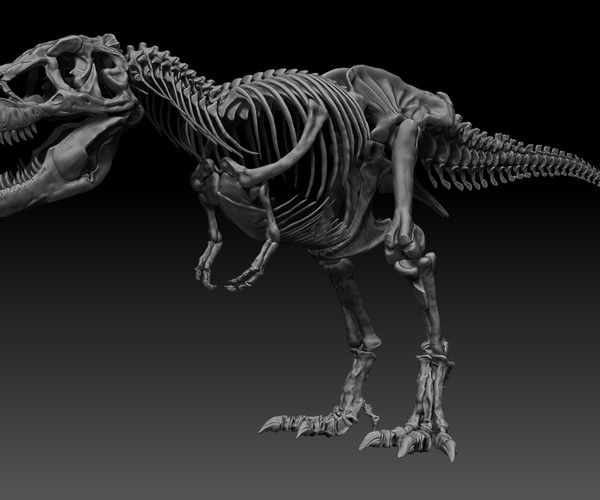 ArtStation - Sub Tyrannosaurus Rex Full Skeletons - SubRex Sculpt ...